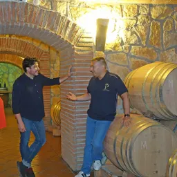 #19 - Enoturista al Celler Piñol, a la Terra Alta - episode art
