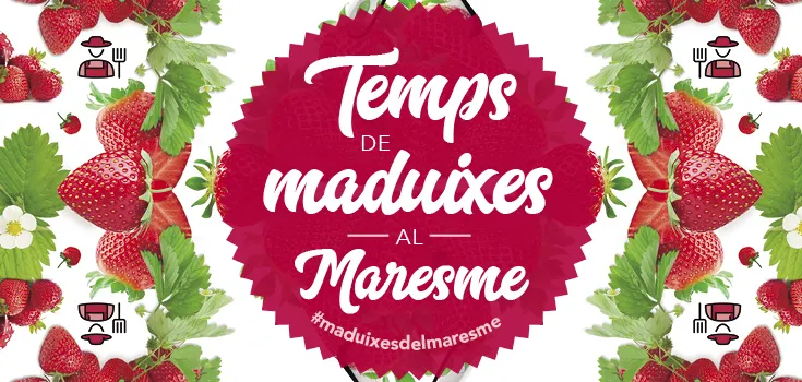 Els productors de maduixes esperen fer una bona temporada