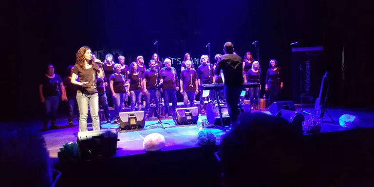 Fildegolpel dedica el concert del tercer aniversari a benefici d'ADIAM