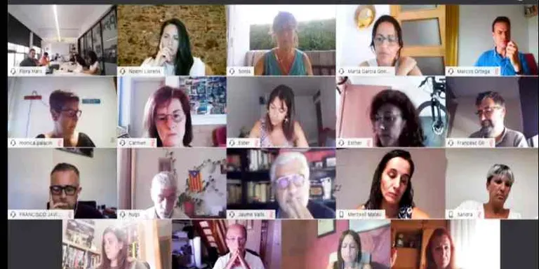 Aquest dilluns hi ha ple a l'Ajuntament de Pineda