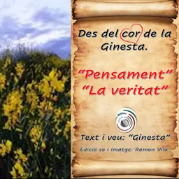 Des del cor de la “Ginesta”, una mica de poesia: “Pensaments” - episode art