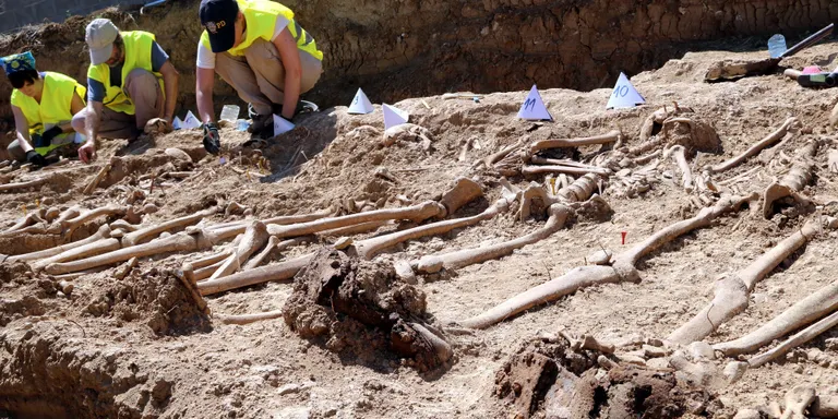 El Departament de Justícia senyalitza les restes de soldats de la Guerra Civil a Figuerola d'Orcau i Gavet de la Conca