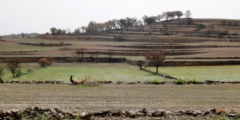 Els alcaldes demanen màxima celeritat en l'arribada dels ajuts estatals per als incendis del Baix Ebre i la Segarra