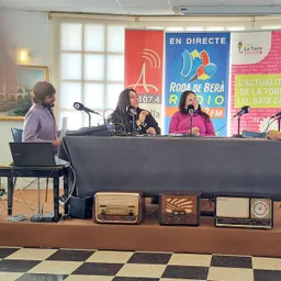 #2 - Primer programa - Especial Dia Mundial de la Ràdio (2a part) - episode art