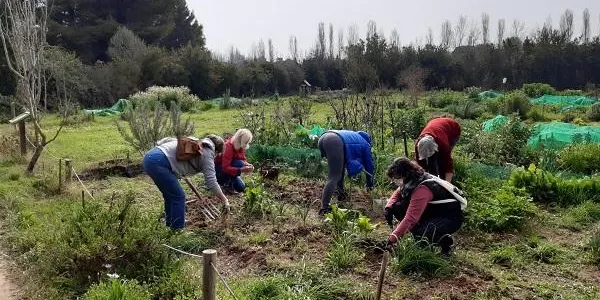 L’Hort de la Sínia reprèn el taller d’hort social i terapèutic amb èxit de participació
