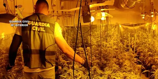 Sis persones detingudes en un operatiu antidroga a la Pobla de Montornès, Torredembarra i Torreforta