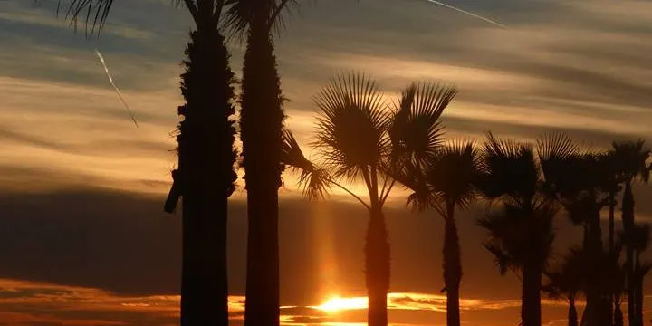 Temperatures normalitzades per l'època