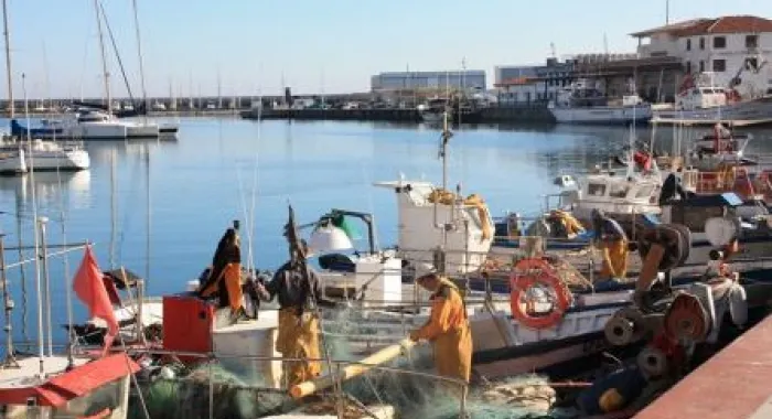 Els pescadors diuen que Ã©s un mal any pel calamar 