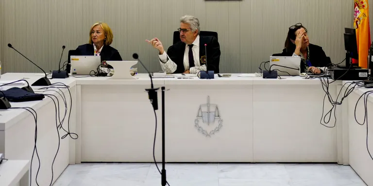 Roigé defensa al judici d'Efial que GUMTSA va mantenir el contracte amb la consultora per falta de personal tècnic