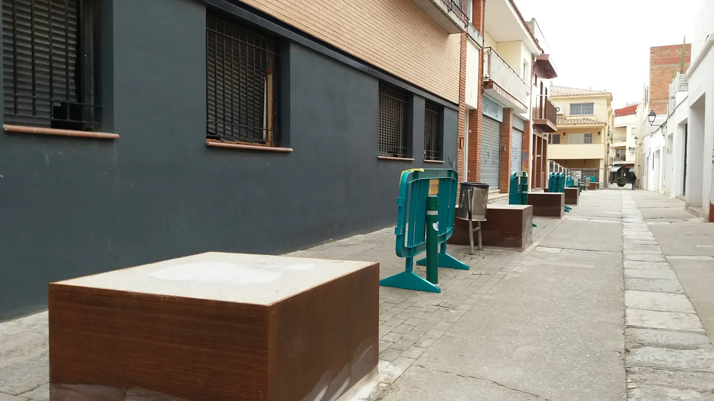 La tala de les alzines del Carreró de la Plaça de Pineda es debat al ple pinedenc