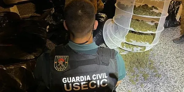La Guardia Civil intercepta un vehicle a que transportava per l’AP-7 22 kg de marihuana en bosses de plàstic