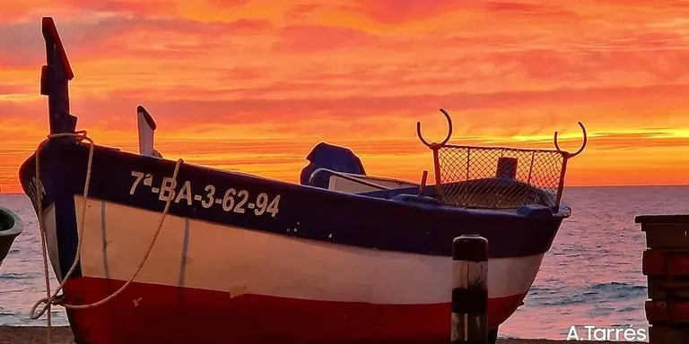 Ambient de rigurós hivern a la setmana dels barbuts