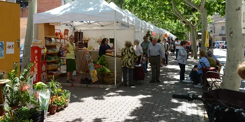 Una trentena d'activitats i seixanta expositors en el segon Terrafira del Morell