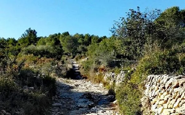 Foto: Lliga Trail TgnNord