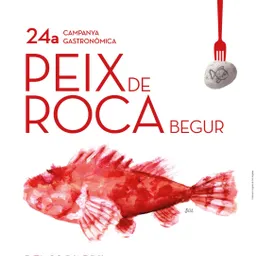 ENTREVISTA PEIX DE ROCA 2023 - episode art
