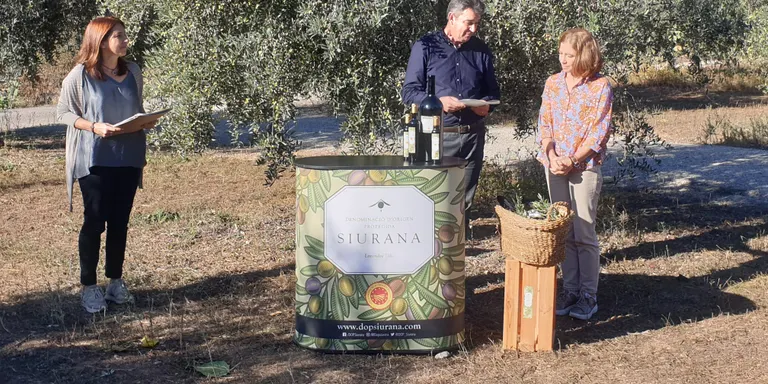 La collita de la DOP Siurana d’enguany es redueix en un 45% i el preu de l’oli augmenta