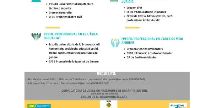 Obren la convocatòria per a que els joves s'inscriguin al Programa Joves en Pràctica