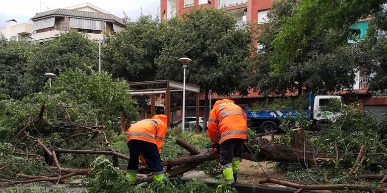Policia Local, Bombers i Brigada de Pineda han hagut d'atendre diverses emergències a causa del vent