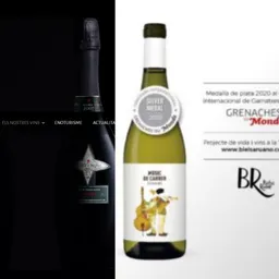 #189 - Maridem vins i saxo en directe entre escumosos d'Albet i Noya - episode art