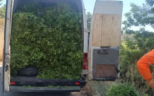 Foto: Ajuntament del Catllar