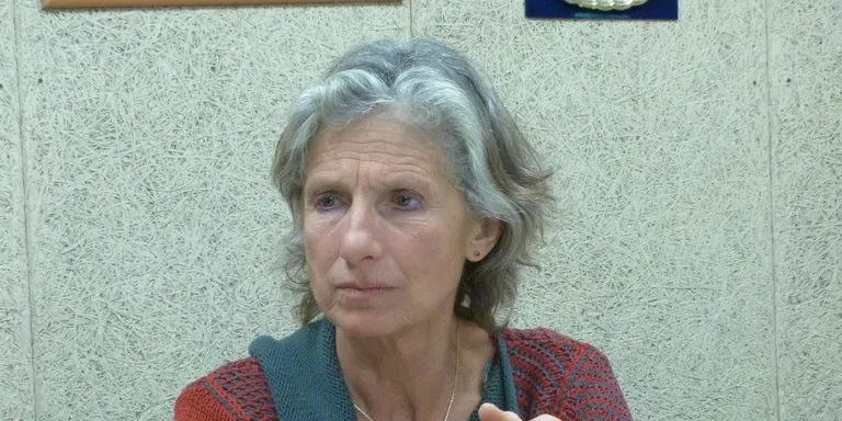 L’exdirectora del CAP Anton de Borja denuncia l’efecte de les retallades