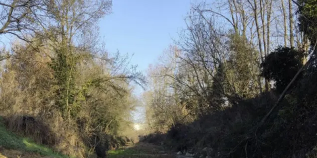 Riudellots de la Selva construeix una bassa per amfibis al camp dels Freixes