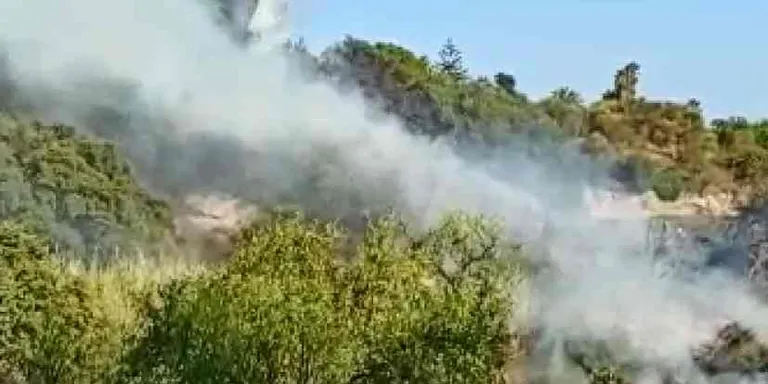 La ràpida actuació dels equips d'extinció ha estat vital per extingir l'incendi del Turó de la Guàrdia