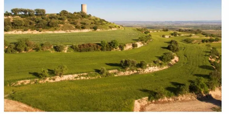 Espais Naturals de Ponent organitza una ruta i caminada ornitològica a la Serra de Bellmunt-Almenara