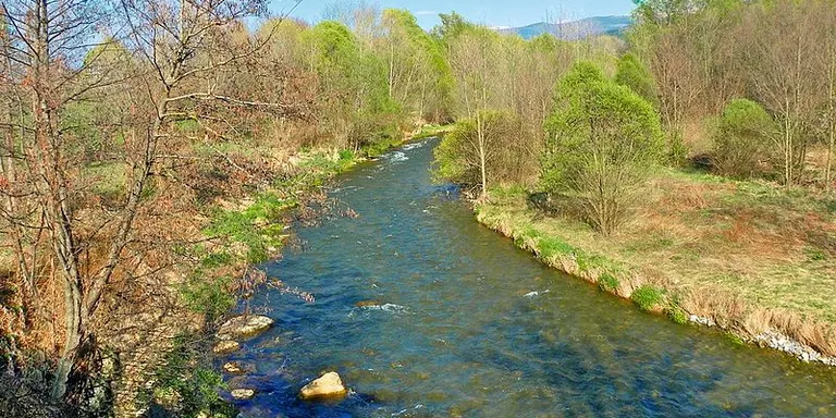 Les vernedes de la conca de l'Alt Segre, incloses al programa de protecció Life Alnus