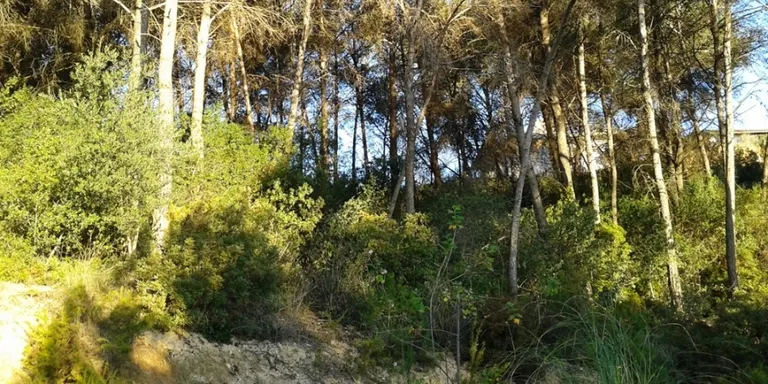 La Diputació de Barcelona subvenciona les obres de millora de 3 camins rubinencs