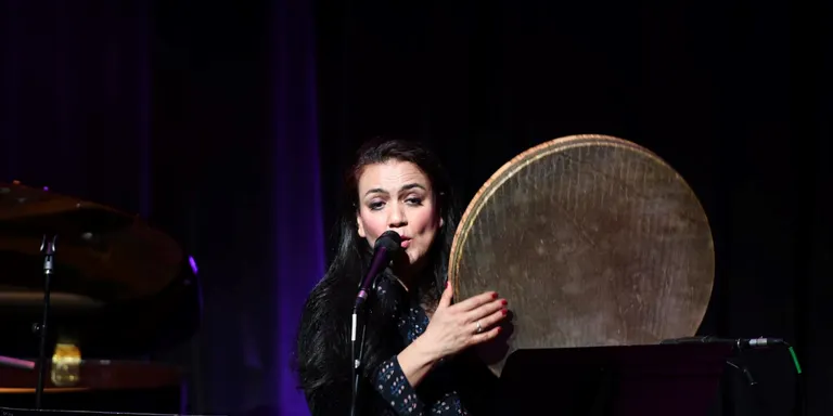 DEMÉSENLLÀ 821: Marjan Vahdat