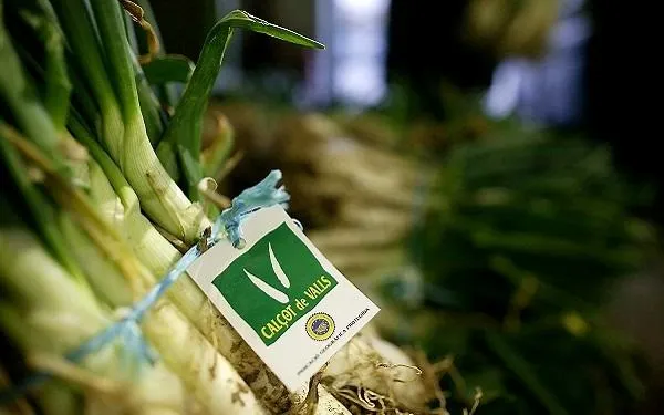 Foto: IGP Calçot de Valls