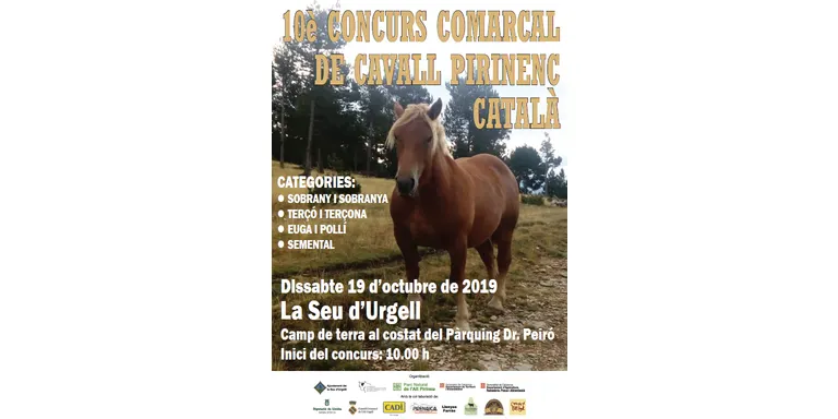 La Seu d'Urgell organitza el 10è Concurs Comarcal de Cavall Pirinenc Català