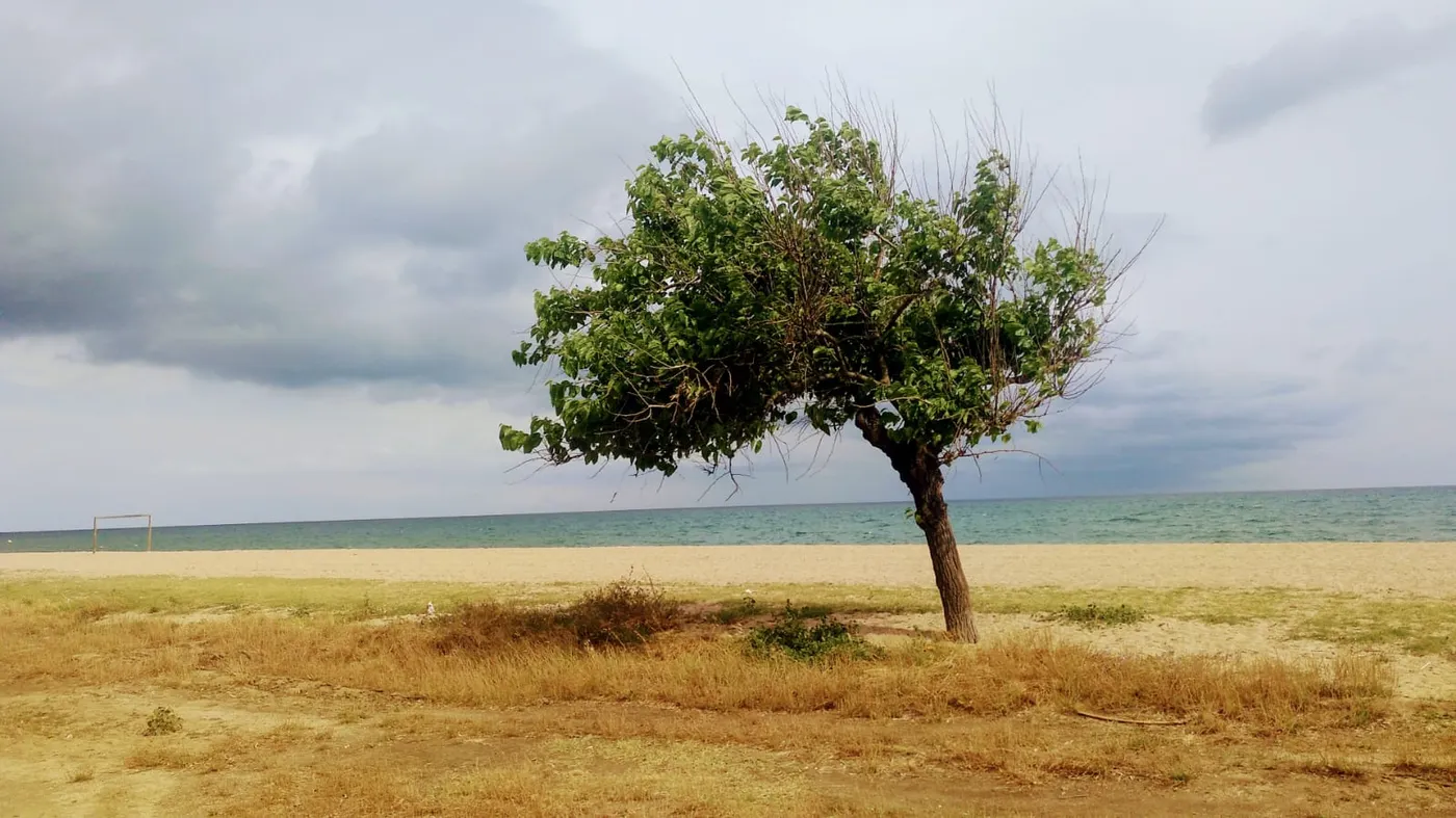 Jornada variable però calor de ple estiu i molta xafogor