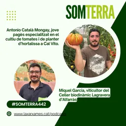 #255 - Som Terra amb Pili Garcia del 14/8/2024 - episode art