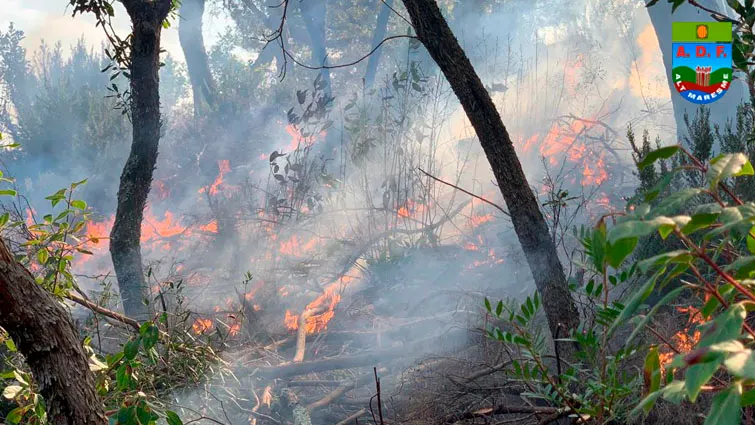 L'estiu de 2022 ha esta el més alt en risc d'incendis forestals, el més elevat dels darrers deu anys