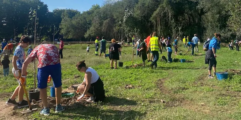 La segona plantada popular agrupa unes 200 persones en una jornada única i especial