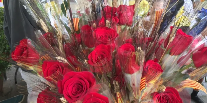 Les roses vermelles, i grogues, protagonistes d'aquest Sant Jordi