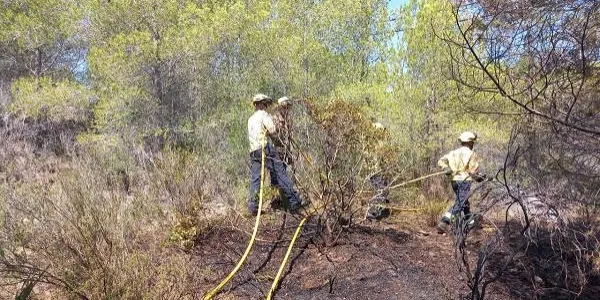 Extingit un incendi de vegetació forestal a Vespella de Gaià