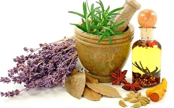 L’Ajuntament d’Altafulla i l’Hort de la Sínia ofereixen la segona edició del taller de farmaciola natural