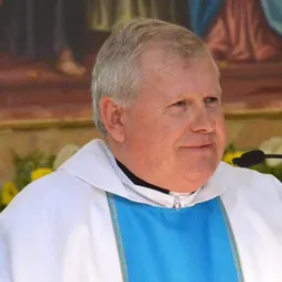 Joaquín Reina seguirá como rector del santuario de Consolación - episode art