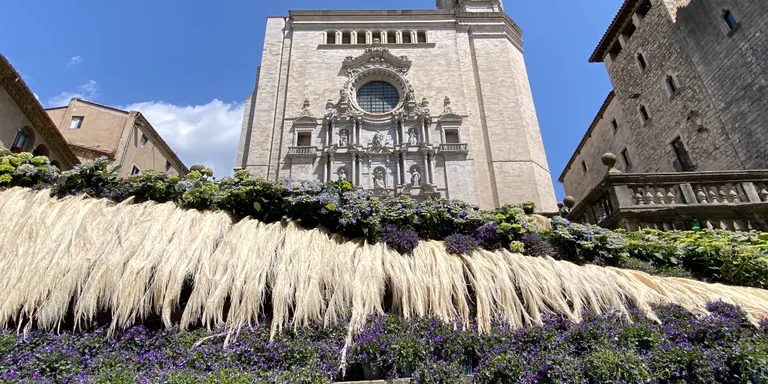 Temps de Flors adaptat a la sequera amb plantes que necessitin poca aigua i recursos freàtics per al reg