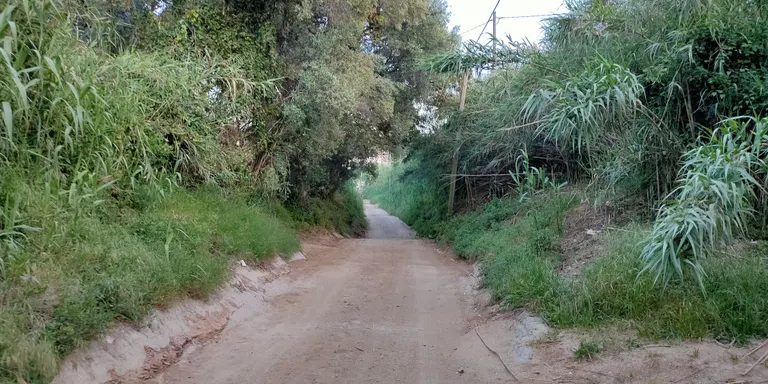 El Consell Comarcal vol posar en marxa un servei per al manteniment de les rieres i rials