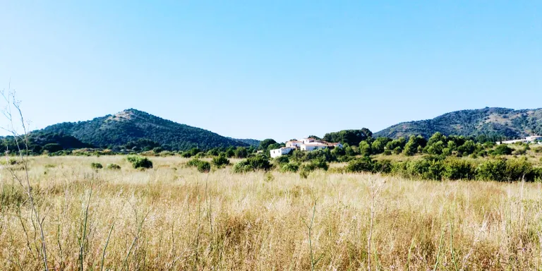 Petits canvis a la vista però el cap de setmana torna el bon temps