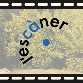 L’escàner