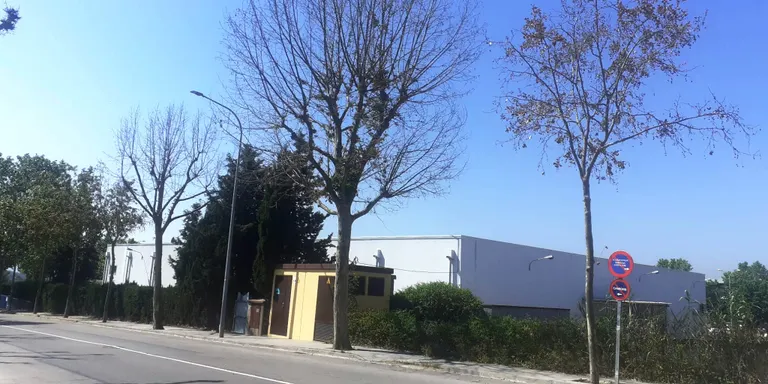 Maten 10 plataners del carrer Josep Calvó, pressumptament injectant-los productes químics