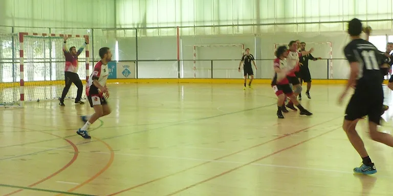 Situació un xic complicada per a l'handbol i el vòlei de la ciutat