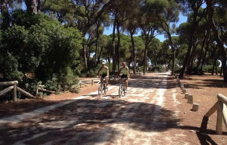Los aficionados a la bicicleta de montaña retoman su actividad