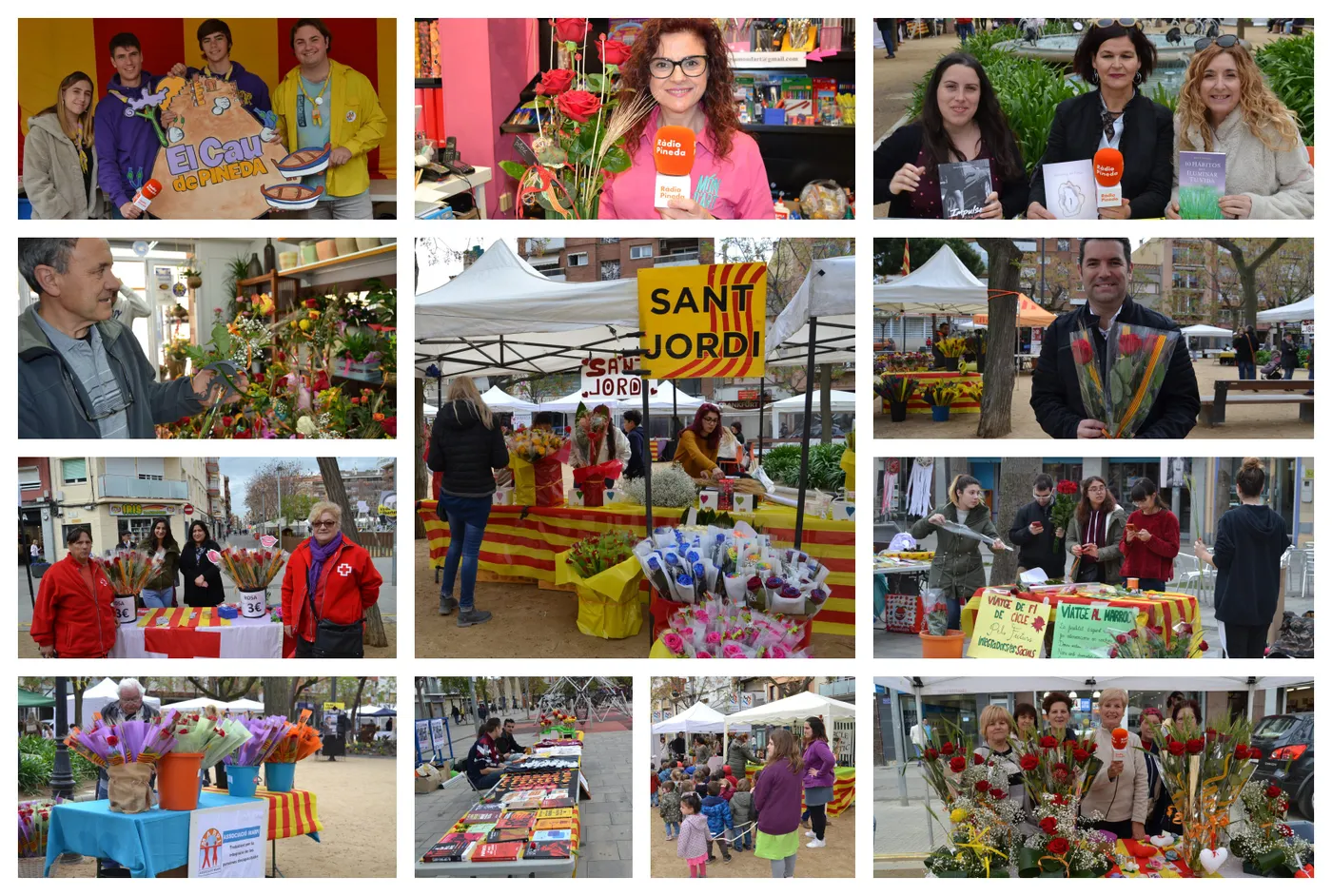 Sant Jordi 2019 a Pineda