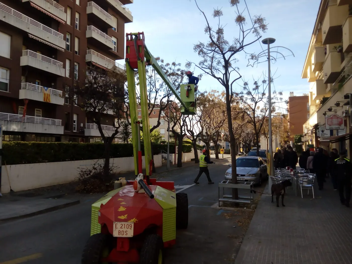 S’ha iniciat la campanya de la poda